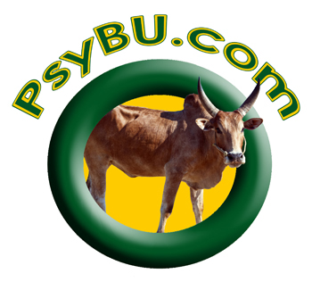 PsyBU Logo